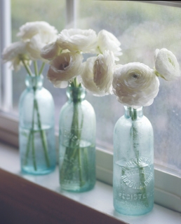 CB-2482_3bottles_windowsill