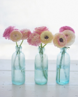 CB-2483_bottles_ranunculus