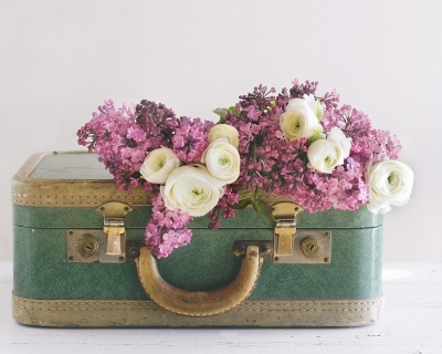 CB-2490_suitcase_flowers
