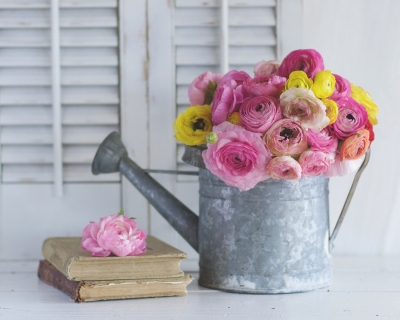 CB-2493_wateringcan1