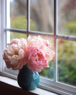 CB-2497_peonies_windowsill
