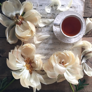 CB-2498_peonies_teacup