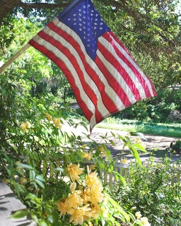 CB-2504_flag