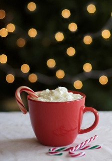 CB-2509_christmas5-flag