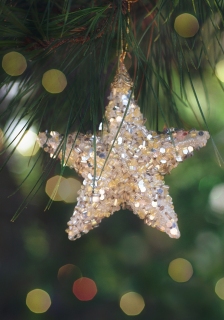 CB-2516_christmas12-flag