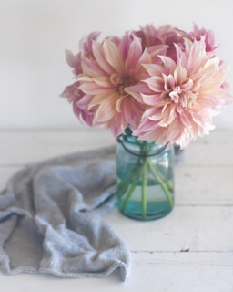 CB-2525_dahlias