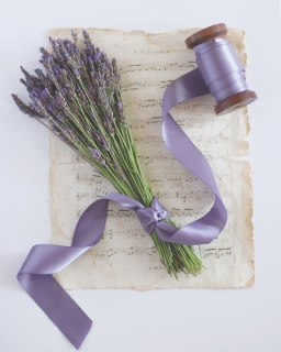 CB-2526_lavender_reel