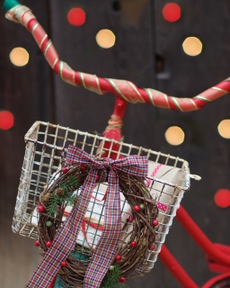 CB-2529_christmas17_bicycle