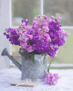 CB-2530_wateringcan-Edit