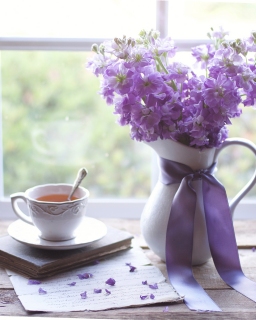 CB-2531_purpleflowers_window