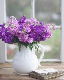 CB-2532_purpleflowers