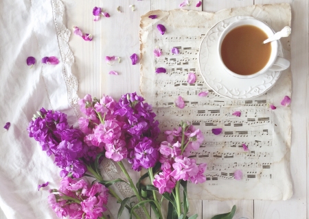 CB-2537_pinkflowers2