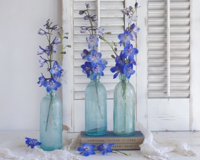 CB-2538_3bottles_delphiniums