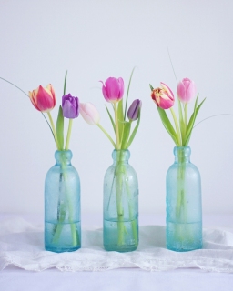 CB-2540_3bottles_tulips
