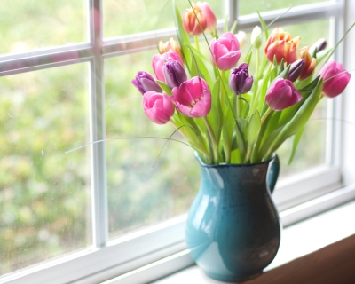 CB-2543_multicolor_tulips_horizontal