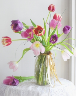 CB-2545_tulips_drooping