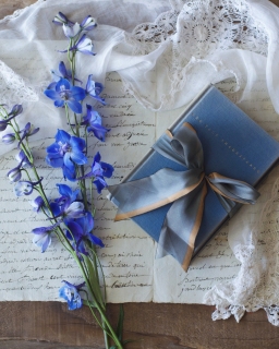 CB-2546_delphinium_book