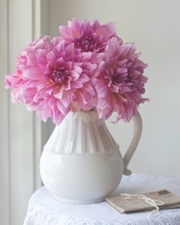 CB-2547_dahlias_8x10
