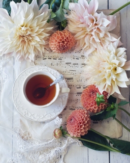 CB-2548_dahlias_flatlay