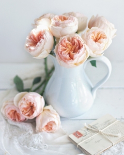 CB-2556_jug_of_roses