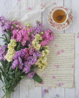 CB-2559_multicolorflowers1