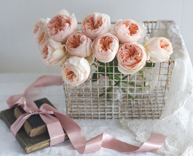 CB-2565_roses_basket