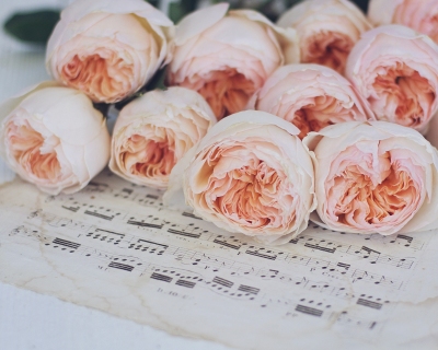 CB-2566_roses_musicsheet