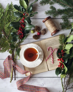 CB-2568_christmas_tea