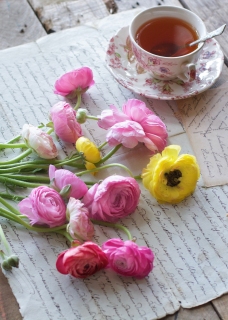 CB-2574_ranununculus_tea