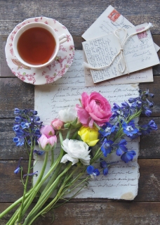 CB-2578_colorfulflowers