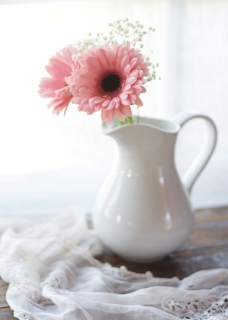 CB-2581_easter_daisies