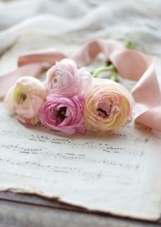 CB-2582_easter_flowers_ribbon