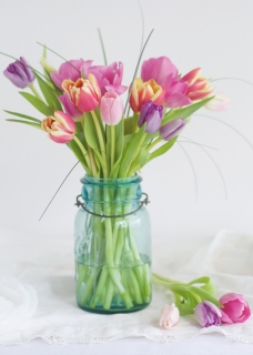 CB-2583_easter_jaroftulips