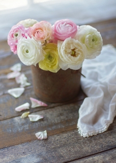 CB-2585_easter_rusty_tin