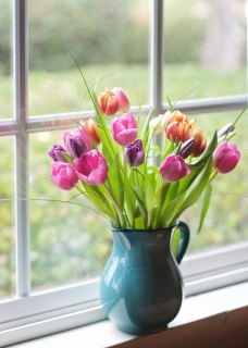 CB-2586_easter_tulips_bluejug