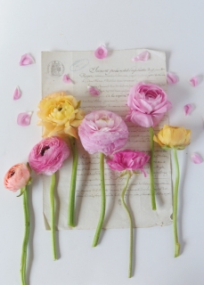 CB-2595_easter-pastel-flowers