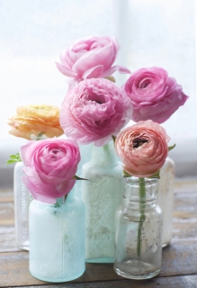CB-2597_bottles-flowers1