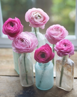 CB-2598_bottles-flowers2