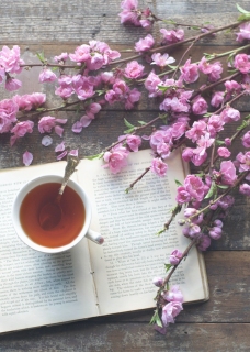 CB-2603_blossom_book