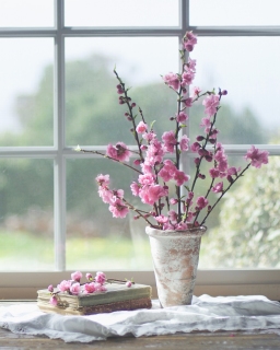 CB-2605_blossom_potteryvase