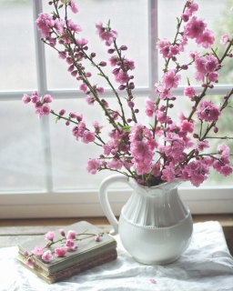 CB-2607_blossom_books