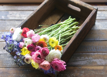 CB-2610a_crate-of-flowers_horizontal