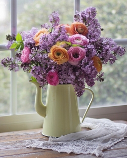 CB-2612_lavendar-ranuncs-yellowpot