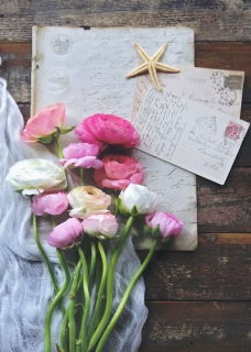 CB-2615_ranunculus-starfish