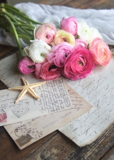 CB-2617_ranunculus_oldpaper_starfish