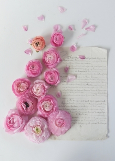 CB-2621_scattered_pink