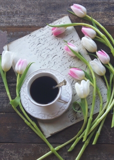 CB-2628_tulips_coffee-5x7