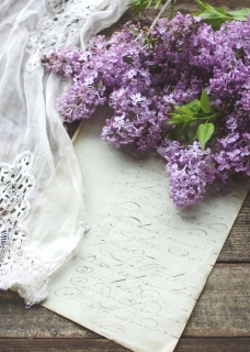 CB-2630_lilacs_oldpaper