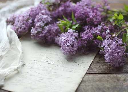 CB-2630a_lilacs_oldpaper_horizontal