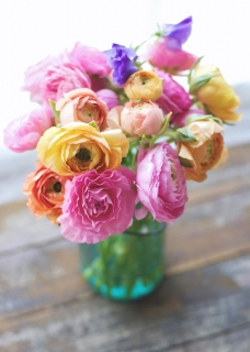 CB-2631_jar-colorful-flowers